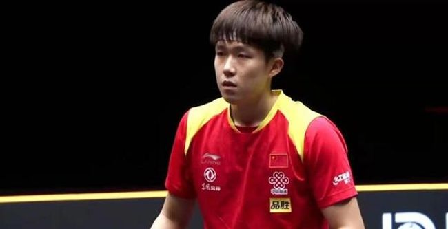 专业团队的 专业团队的