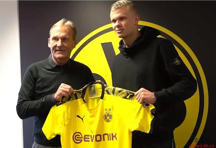 悉数在列 悉数在列